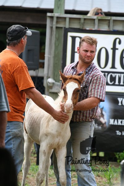 ponypenning08_234.JPG
