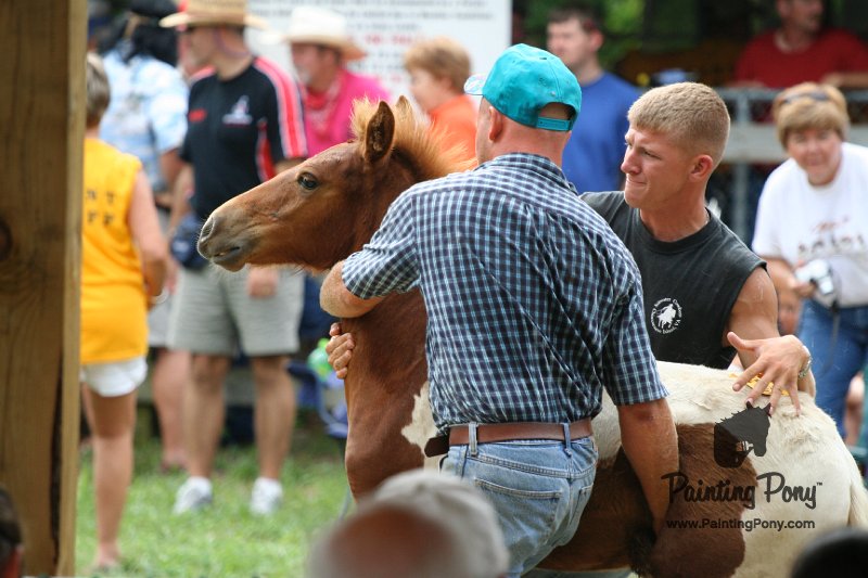 ponypenning08_243.JPG