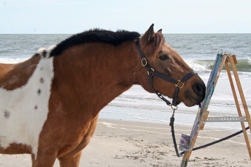 chesapeake boomerang on assateague island chesapeake boomerang on assateague island