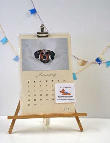 2012 ammo the dachshund calendar
