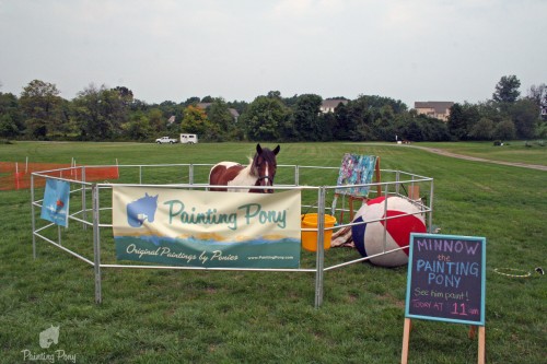 minnow the painting pony minnow the painting pony