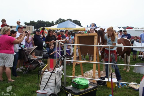 minnow the painting pony minnow the painting pony