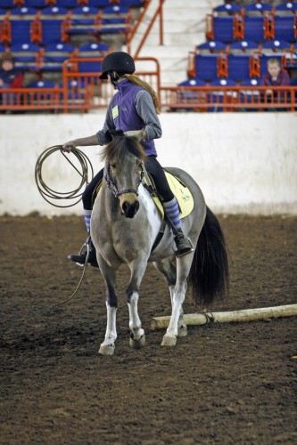 boomer extreme cowboy race boomer extreme cowboy race