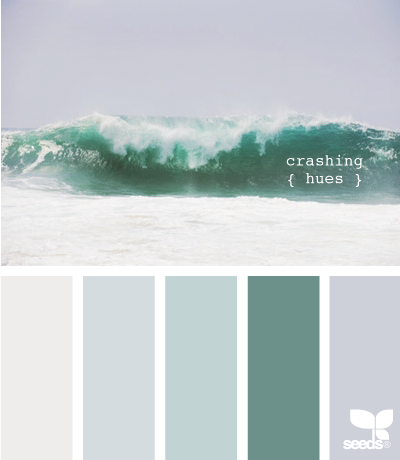 design seed design seed