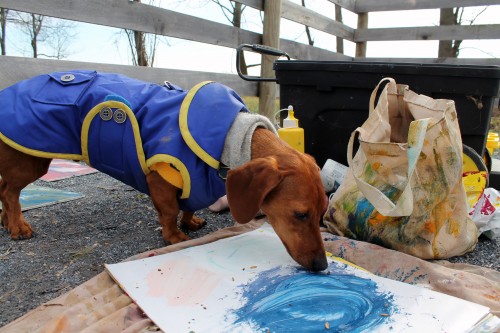 painting pony painting pony