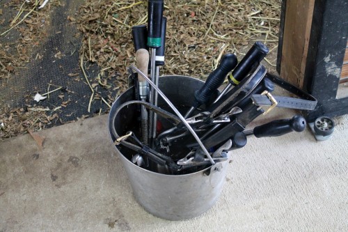 horse dentist