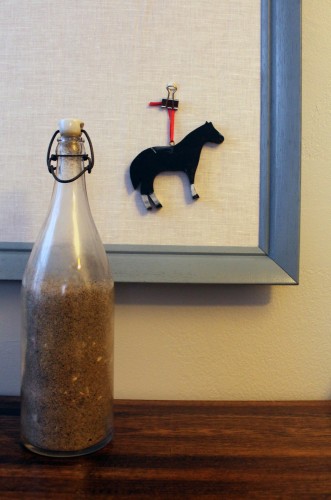 sand from assateague island