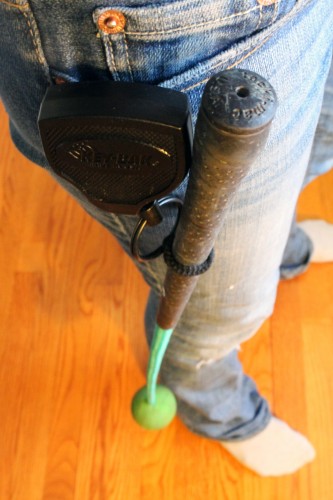 painting pony target stick