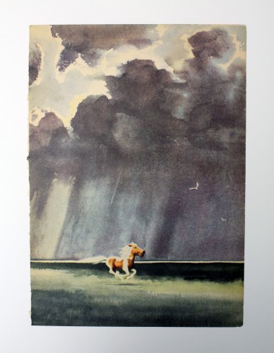 misty of chincoteague book page misty of chincoteague book page