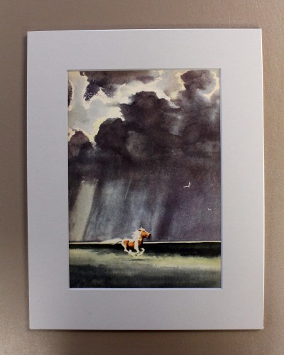 misty of chincoteague book page misty of chincoteague book page
