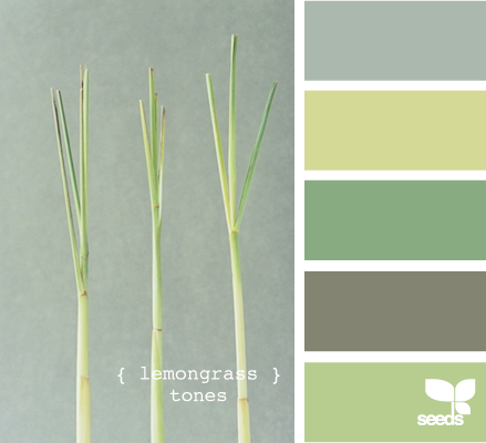 design seed design seed
