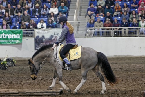 boomer extreme cowboy race boomer extreme cowboy race