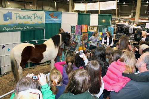 chincoteague minnow 2012 pa horse world expo chincoteague minnow 2012 pa horse world expo