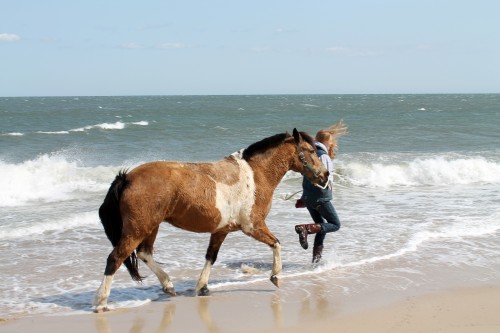 cape henlopen beach ride - painting pony