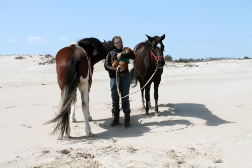 cape henlopen beach ride - painting pony