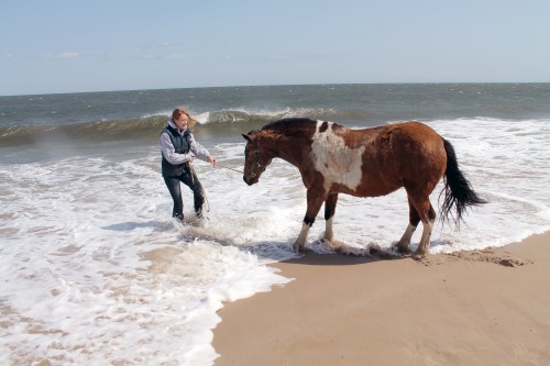 cape henlopen beach ride - painting pony