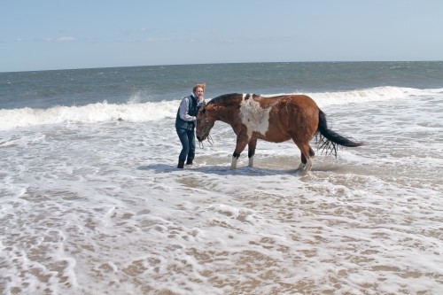 cape henlopen beach ride - painting pony