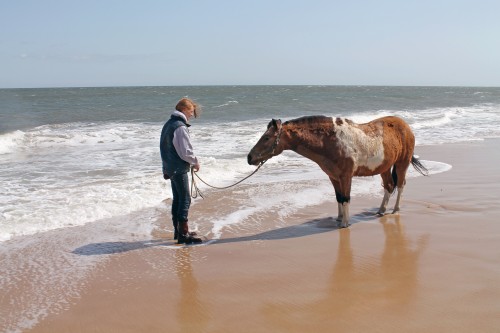 cape henlopen beach ride - painting pony