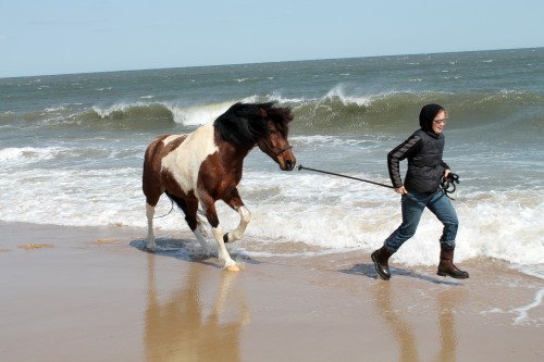cape henlopen beach ride - painting pony