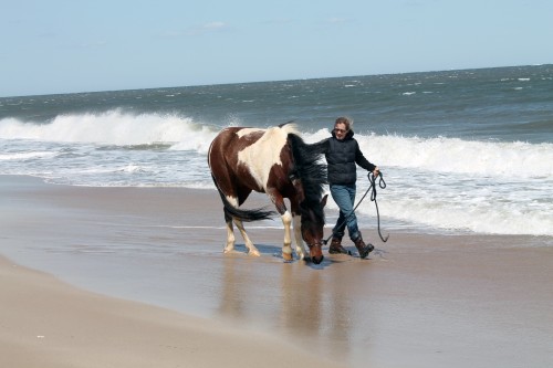 cape henlopen beach ride - painting pony