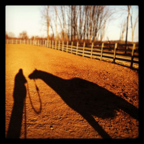minnow in the sunset minnow in the sunset