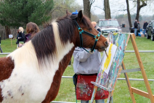 painting pony at the point to point races