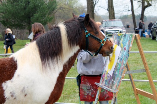 painting pony at the point to point races