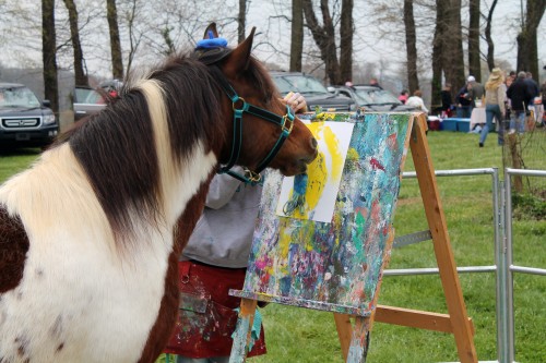 painting pony at the point to point races