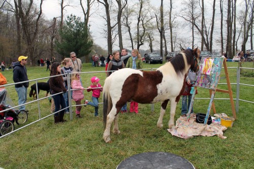 painting pony at the point to point races
