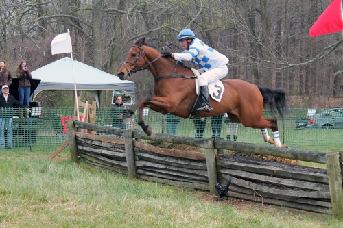painting pony at the point to point races