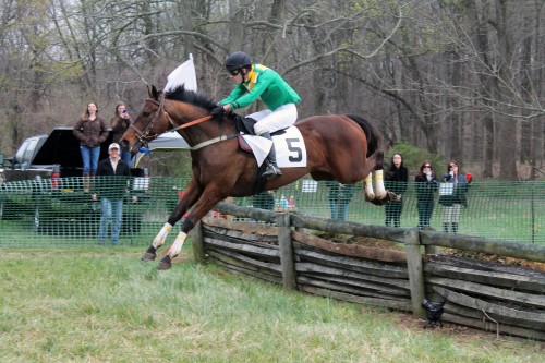 painting pony at the point to point races