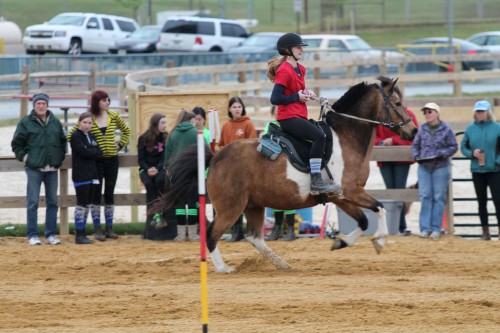 chesapeake boomerang competes in mounted games