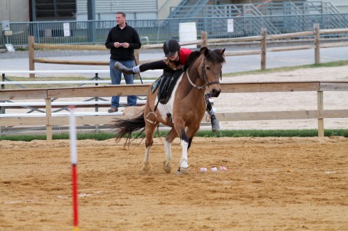 chesapeake boomerang competes in mounted games