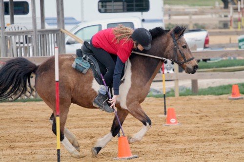 chesapeake boomerang competes in mounted games