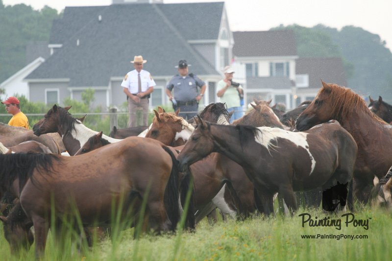 ponypenning08_100.JPG