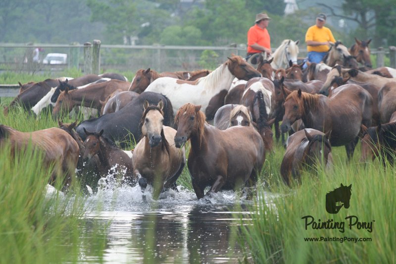 ponypenning08_106.JPG