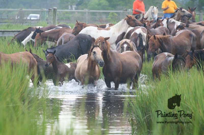 ponypenning08_107.JPG