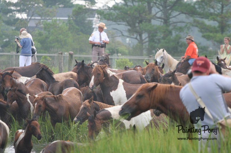ponypenning08_117.JPG