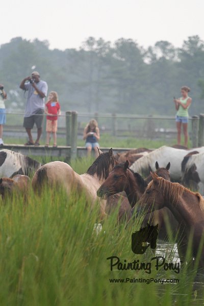 ponypenning08_126.JPG