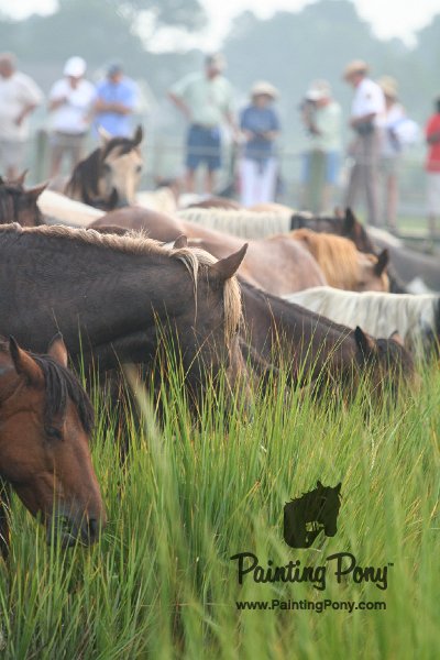 ponypenning08_130.JPG