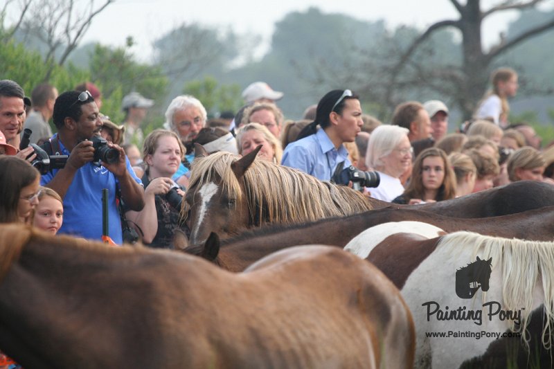 ponypenning08_132.JPG