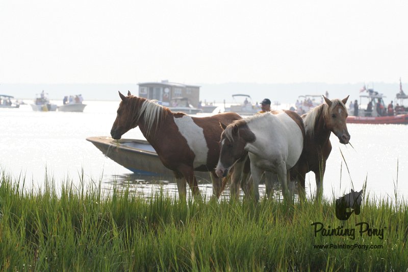 ponypenning08_141.JPG