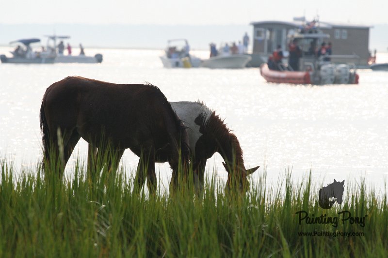 ponypenning08_145.JPG