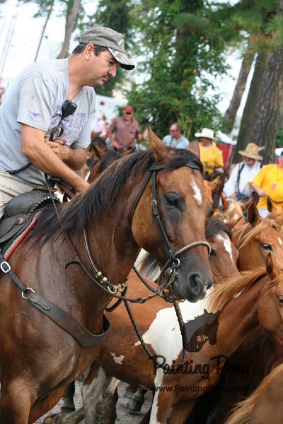 ponypenning08_172.JPG