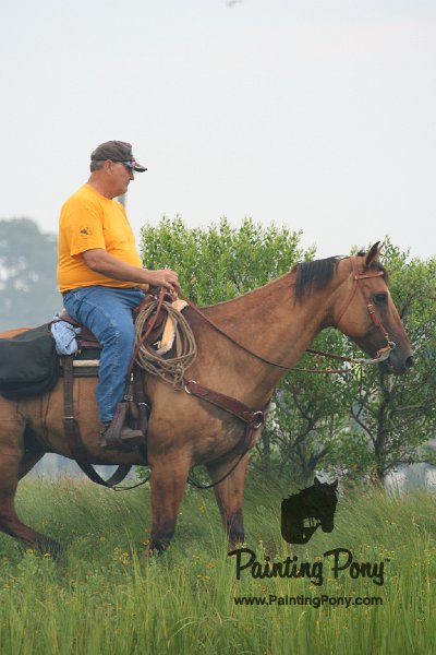ponypenning08_18.JPG