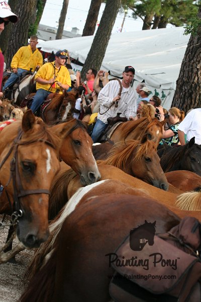 ponypenning08_181.JPG