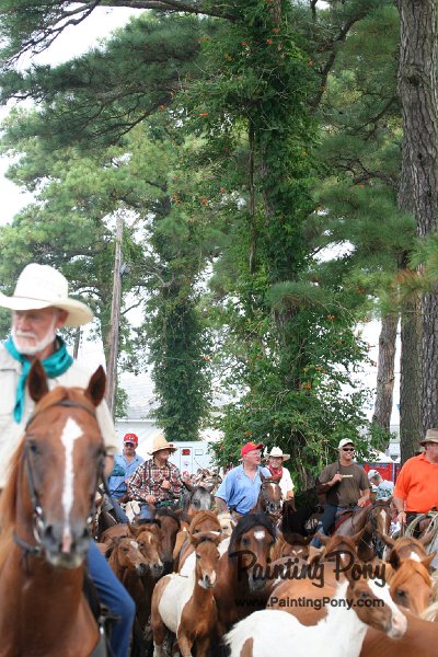 ponypenning08_183.JPG