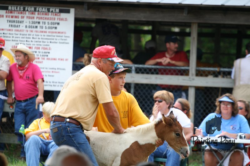 ponypenning08_213.JPG