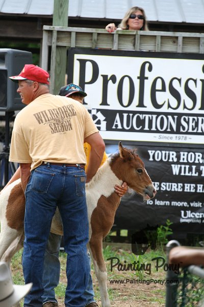 ponypenning08_214.JPG