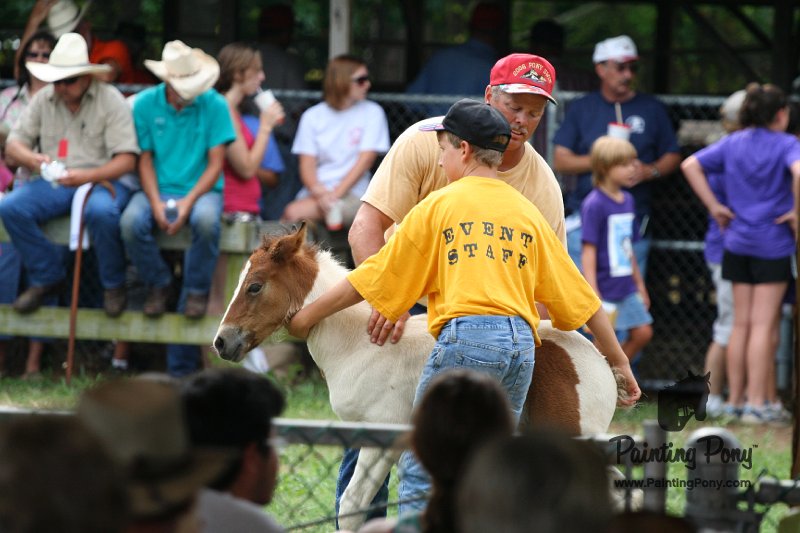 ponypenning08_215.JPG